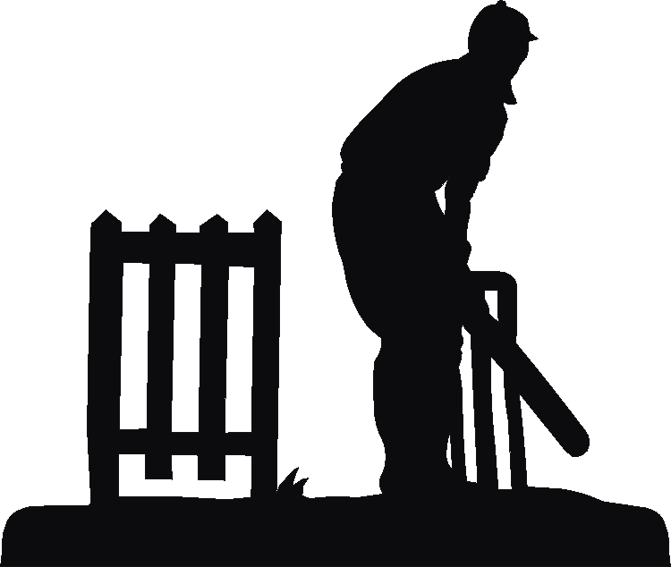 Cricket Trivia Tray