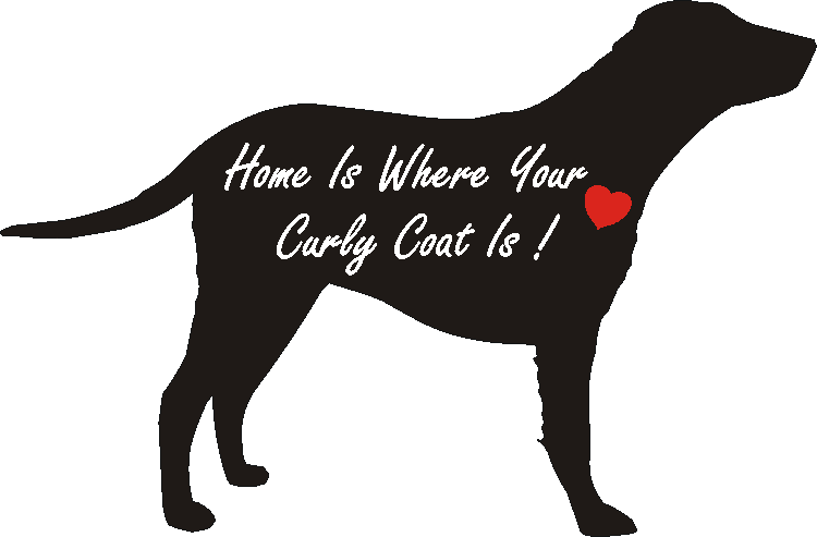 Curly Coat Home Is...