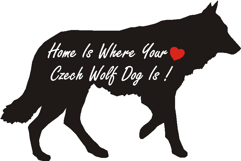 Czech Wolf Dog Home Is...