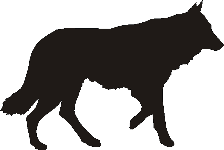 Czech Wolf Dog Silhouettes