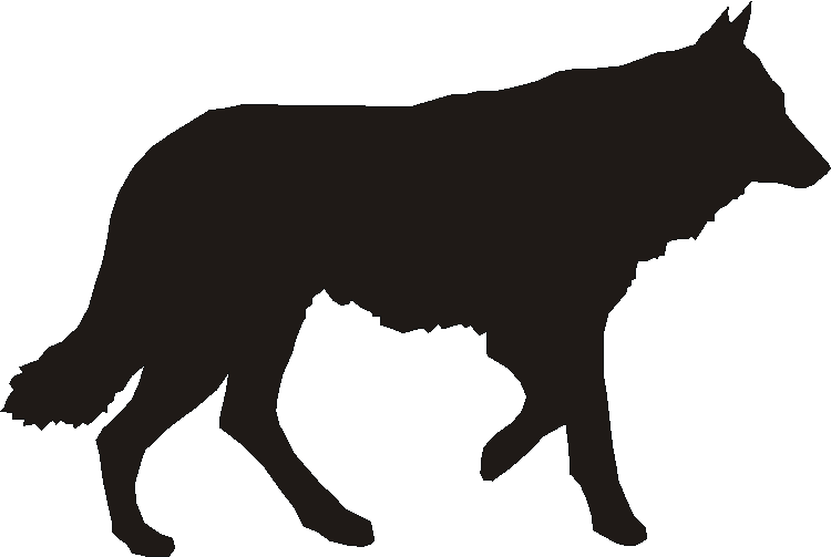 Czech Wolf Dog Whirlies