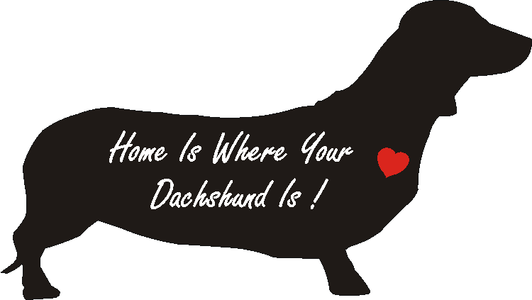 Dachshund Home Is...