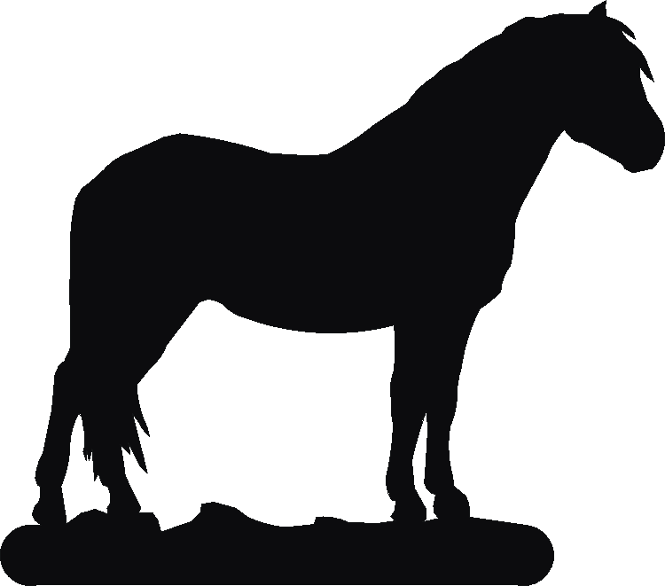 Dartmoor Pony Door Knocker