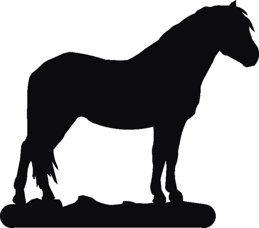 Dartmoor Pony Number Plates