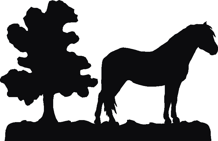 Dartmoor Pony Sign Plates