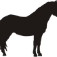 Dartmoor Pony Tall Tumblers