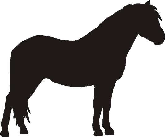 Dartmoor Pony Curtain Hook Backs