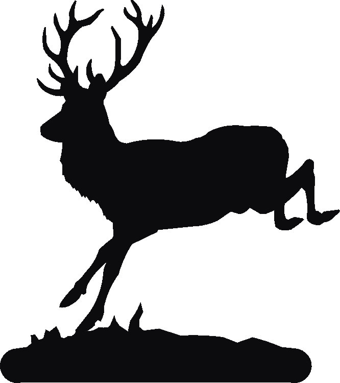 Deer Jump Book Ends