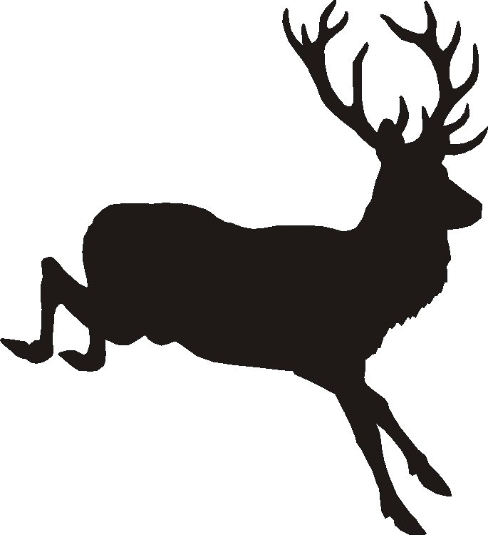 Deer Jump Tall Tumblers