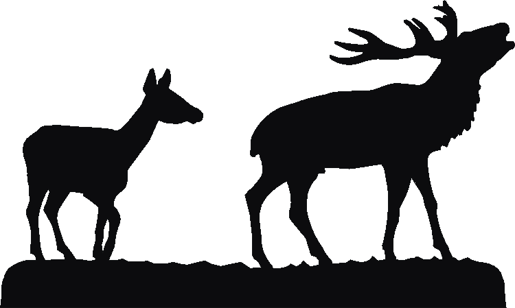 Deer Pair Key Rack