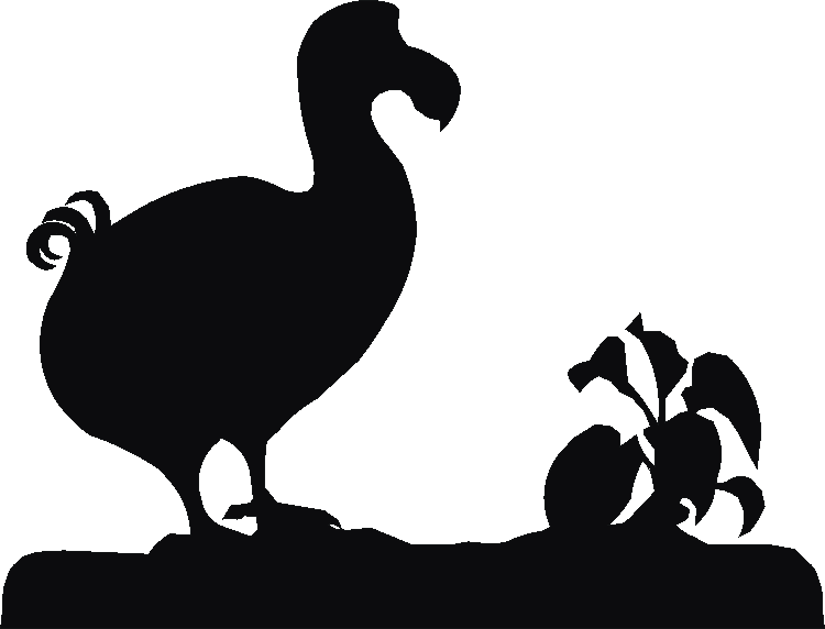 Dodo Trivia Tray