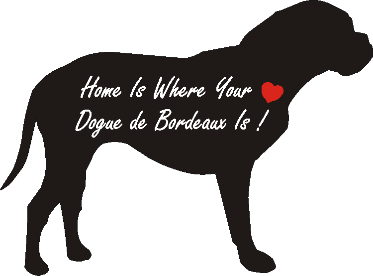 Dogue de Bordeaux Home Is...