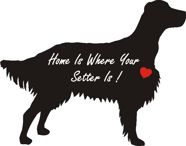 English Setter Home Is...