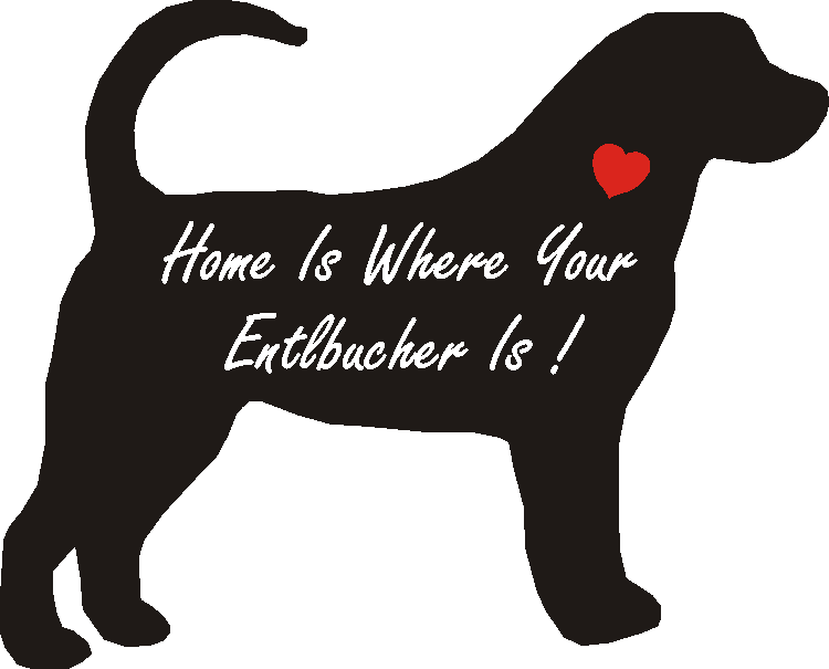 Entlebucher Home Is...