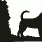 Entlebucher Hanging Signs