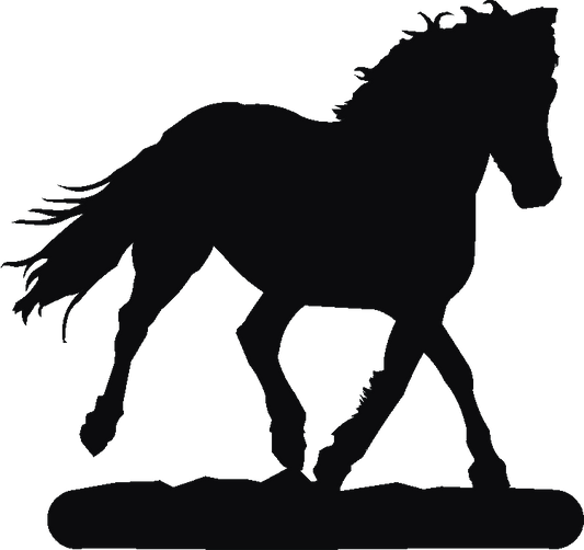 Eriskay Pony Book Ends