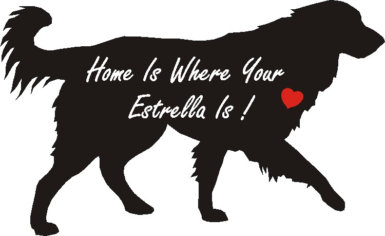 Estrela Home Is...