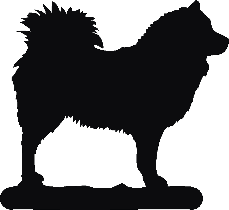 Eurasier Number Plates