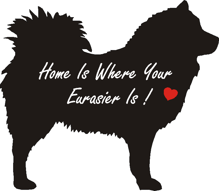 Eurasier Home Is...