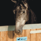 Spanish Water Stable Door Name Plates