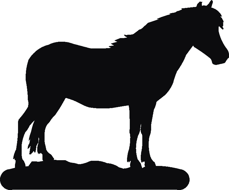 Exmoor Pony Hand Stand