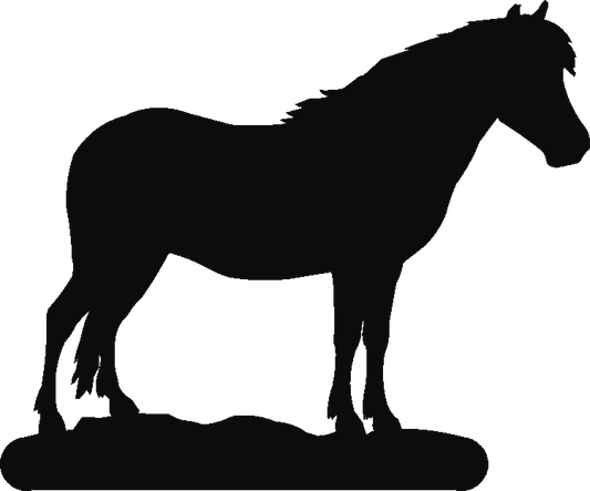 Exmoor Pony Book Ends