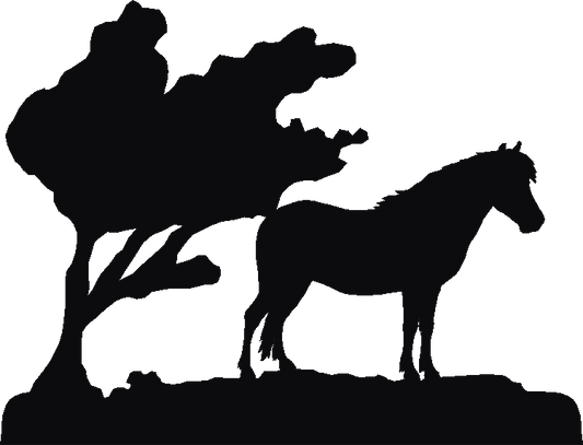 Exmoor Pony Picture Plates