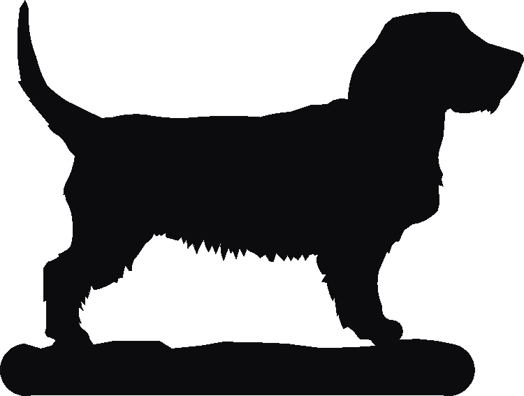 Fauve Bassett Noteblock