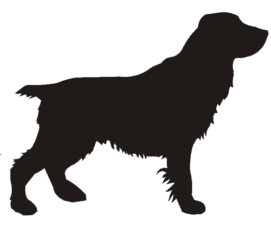 Field Spaniel Docked Tankard