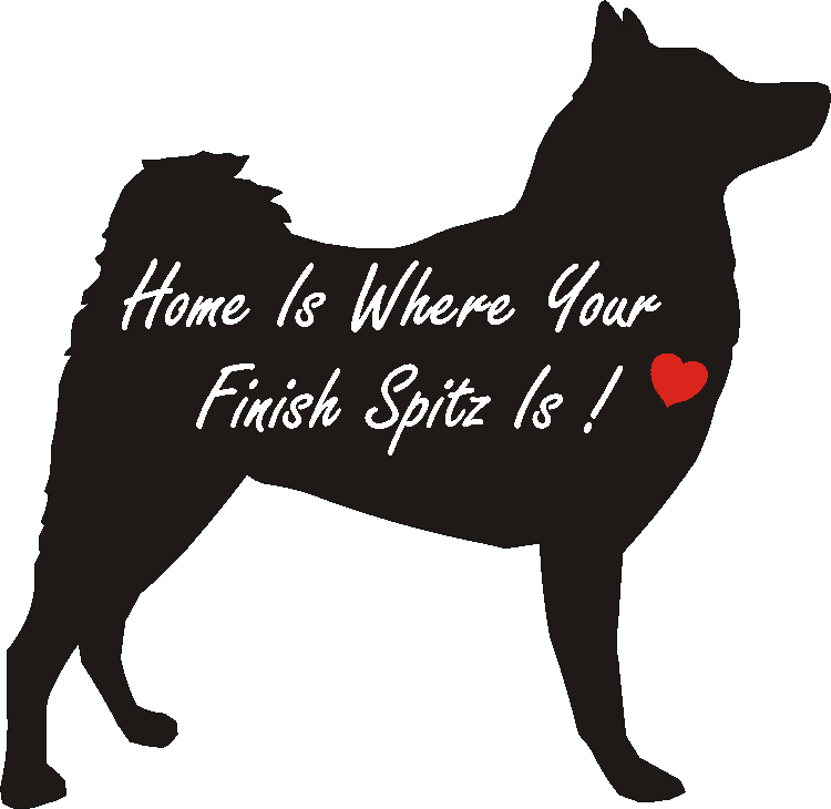 Finnish Spitz Home Is...