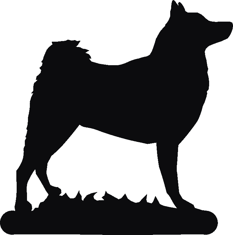 Finnish Spitz Noteblock