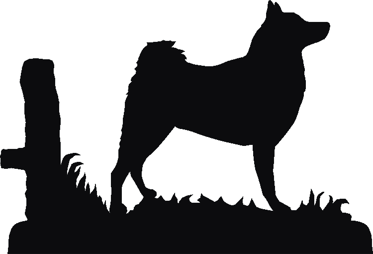 Finnish Spitz White Board Set