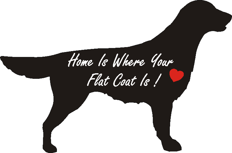 Flat Coat Home Is...