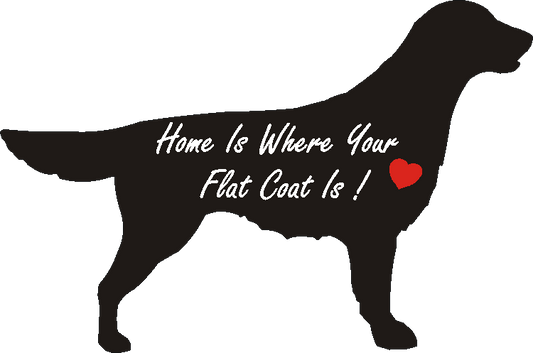 Flat Coat Home Is...