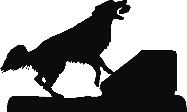 Flyball Silhouettes