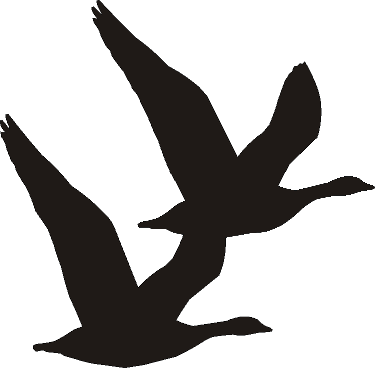 Flying Geese Verge Sign