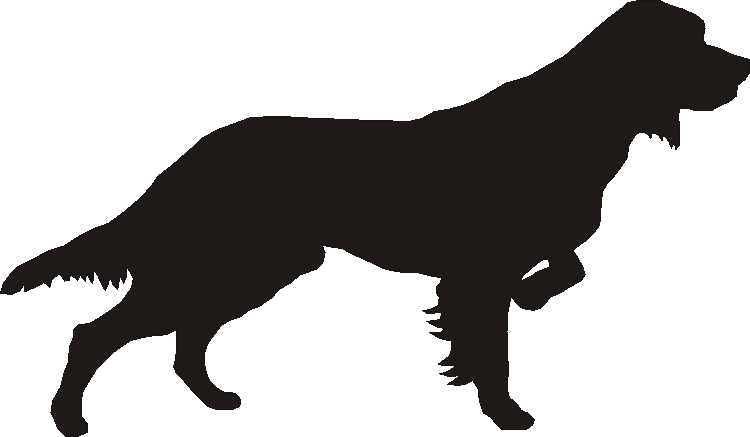 French Spaniel Yorkshire Sign