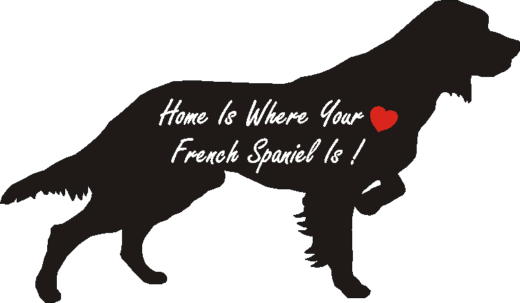 French Spaniel Home Is...