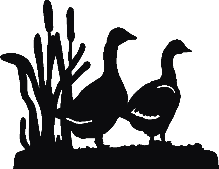 Geese Picture Plates