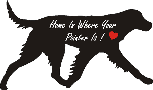 German Longcoated Pointer Home Is...