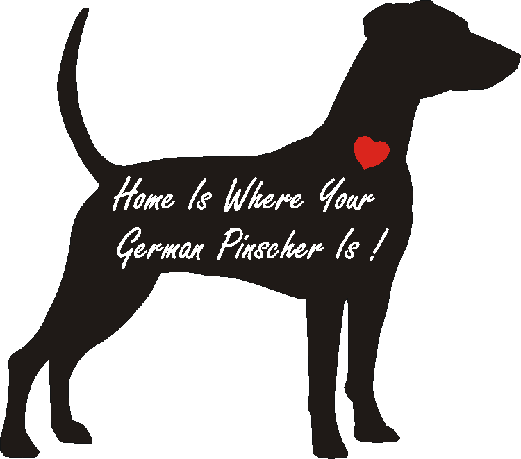 German Pinscher Home Is...