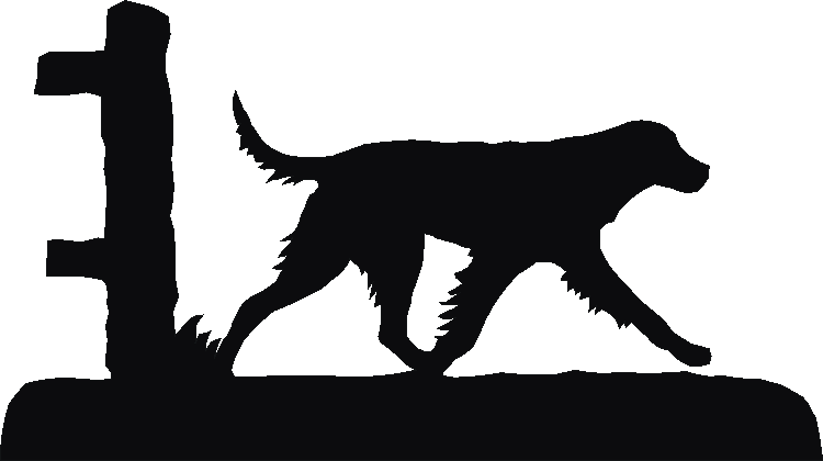 German Longcoated Pointer White Board Set