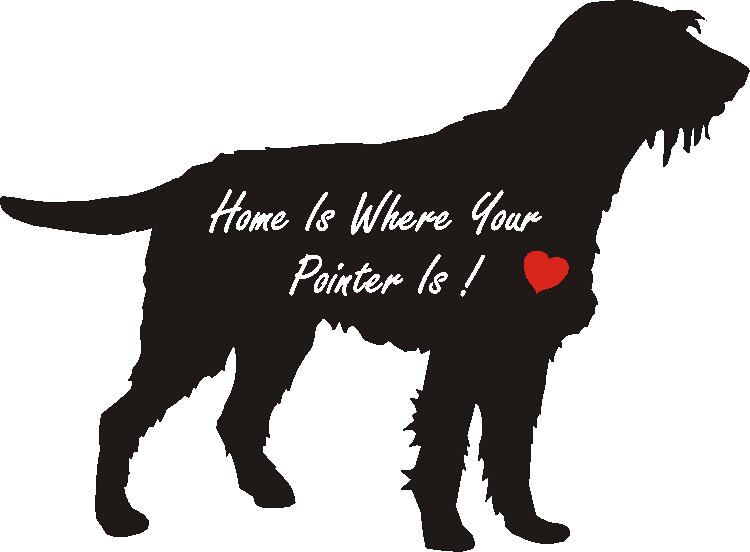 German Wire Pointer Home Is...