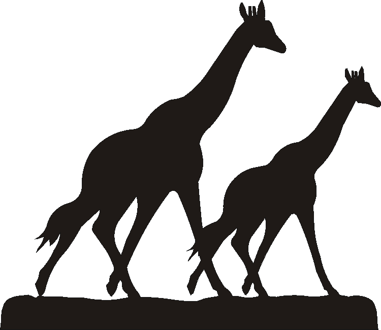Giraffe Trivia Tray