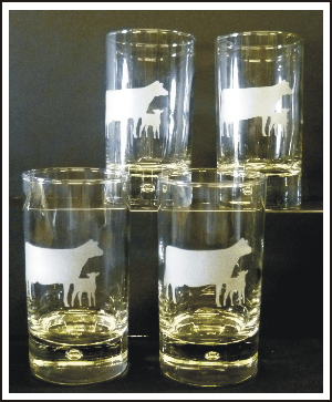 Portuguese Pointer Tall Tumblers