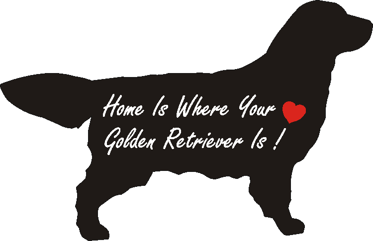 Golden Retriever Home Is...