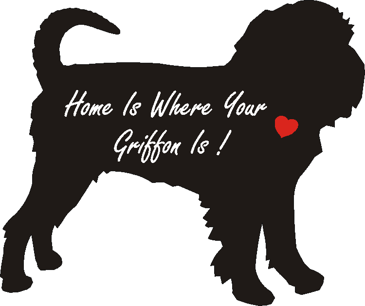 Griffon Rough Home Is...