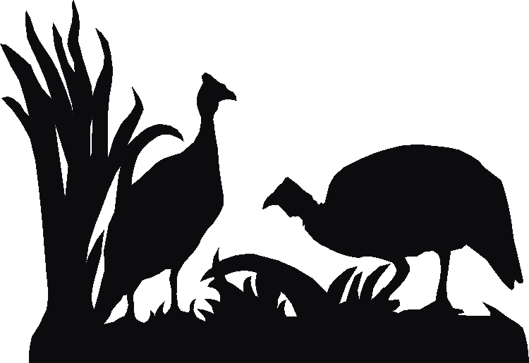 Guinea Fowl White Board Set