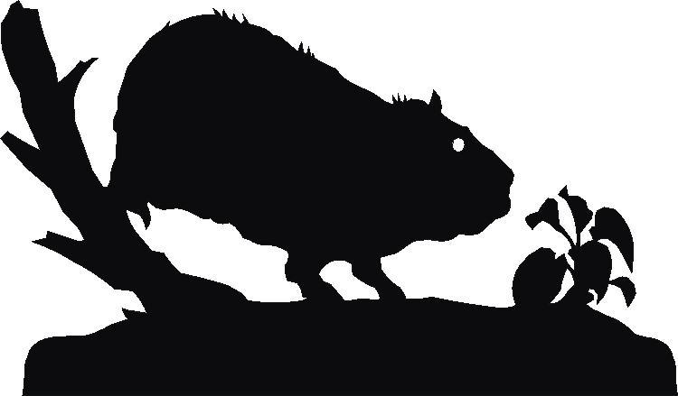 Guinea Pig Rosette Runner