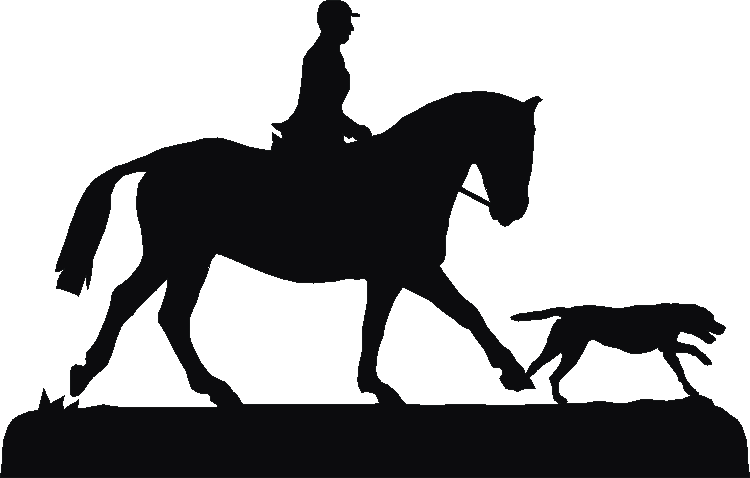 Hacking Silhouettes